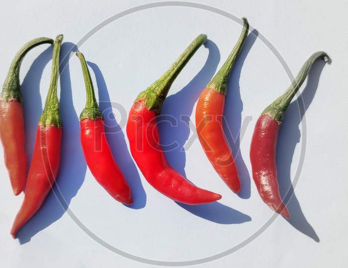 Top View Of Spicy Red Chili Peppers On Gray White Background With Copy Space.