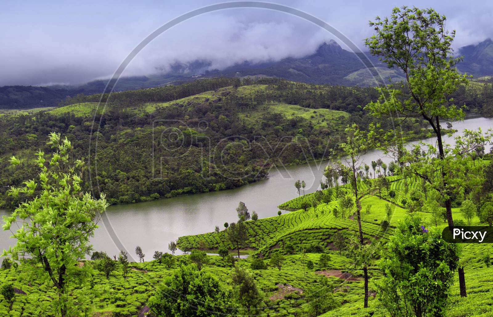 natural landscape, a pond, munnar, kerala