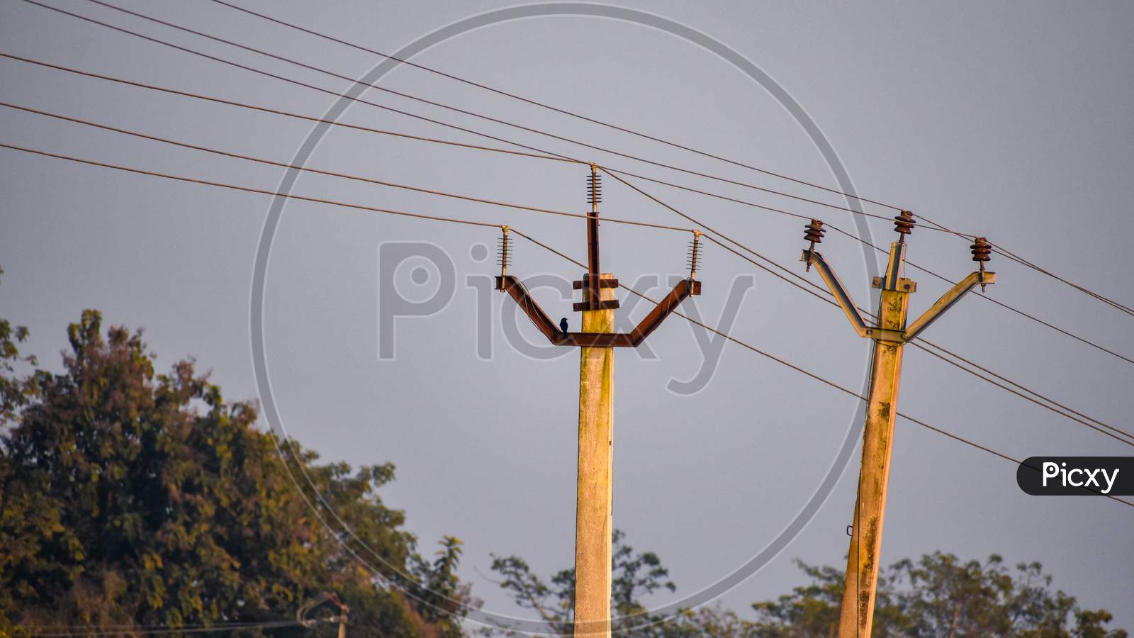Indian Power Supply System Electric Pole And Wire