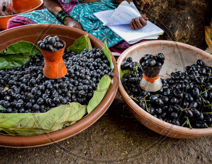 Picture Of Freshly Picked Home Grown Black Current Fruit Kept In A Bowl For Sale In Indian Village