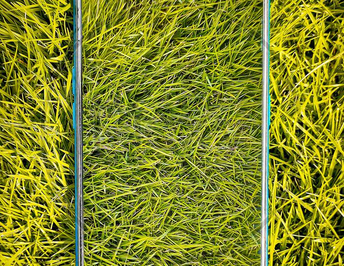 Mirror shot of grass
