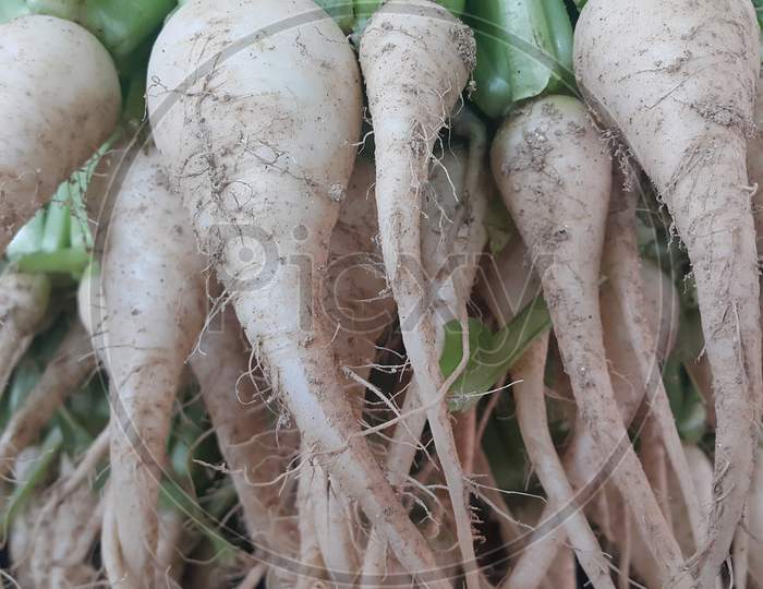 Radish Roots With Green Leaves