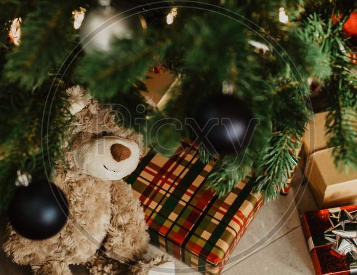 bear-and-gifts-under-christmas-tree