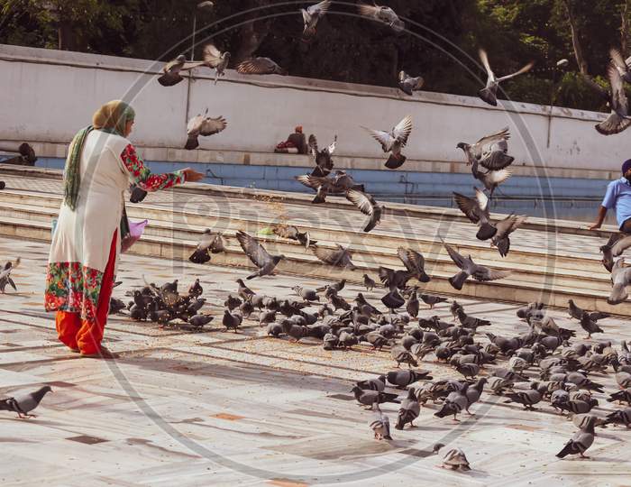lady feeding pigeons while walking on the street