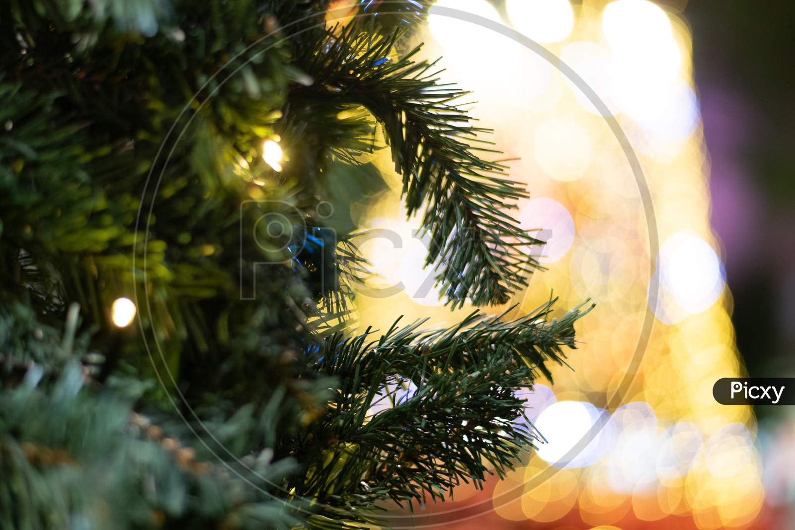 Green Leave Christmas Tree In Bokeh