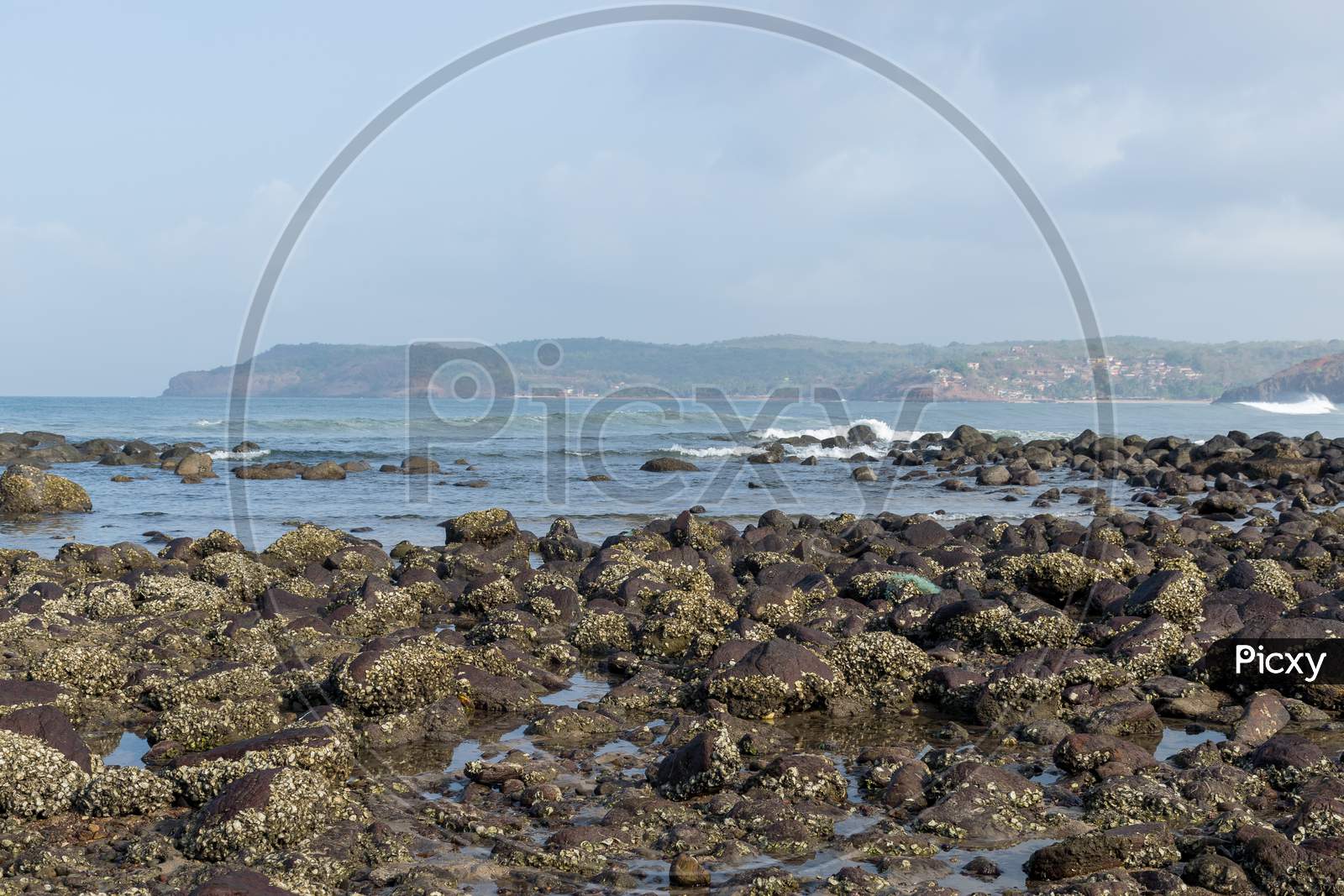 Panoramic Landscape View Of Rocks Covered In Seaside Lichens At Velneshwar Beach In Maharashtra, India