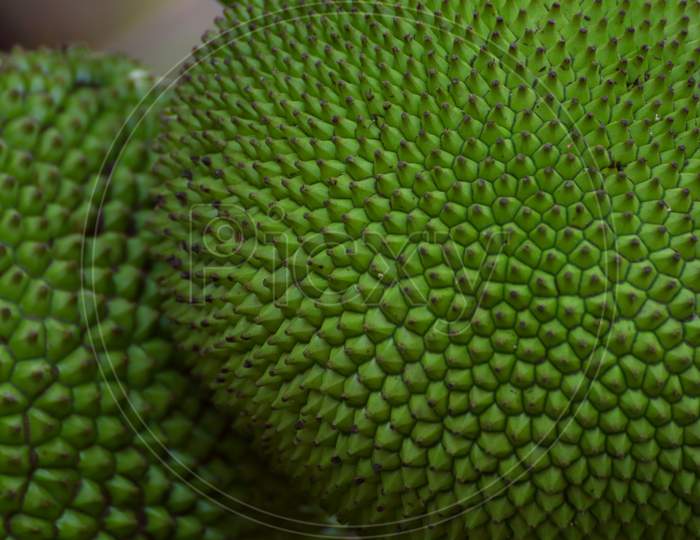 Pattern in a green jack fruit