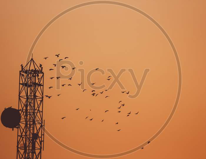 a flock of birds flying around the communication tower in the orange sky