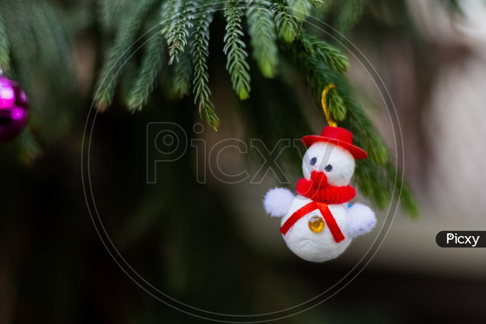 Christmas celebration snowman on Pine tree