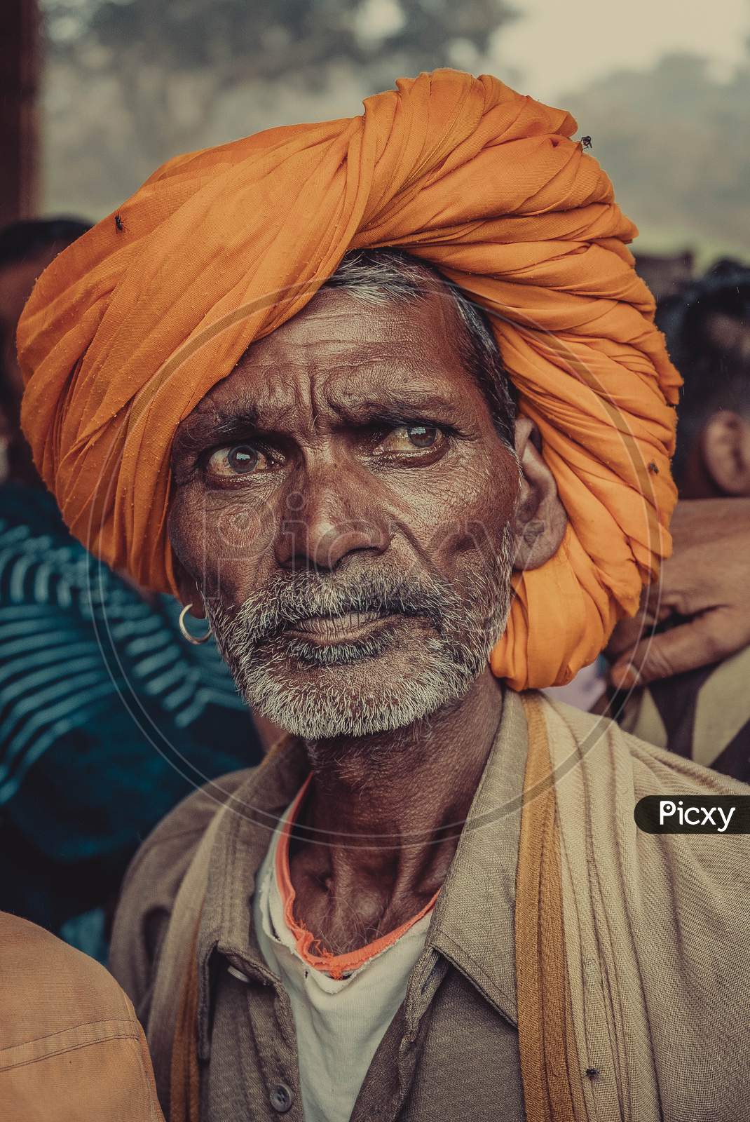 Rajasthani Man / Turban