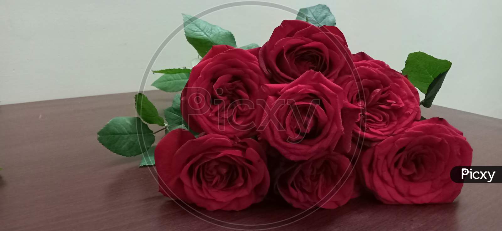 Beautiful Roses