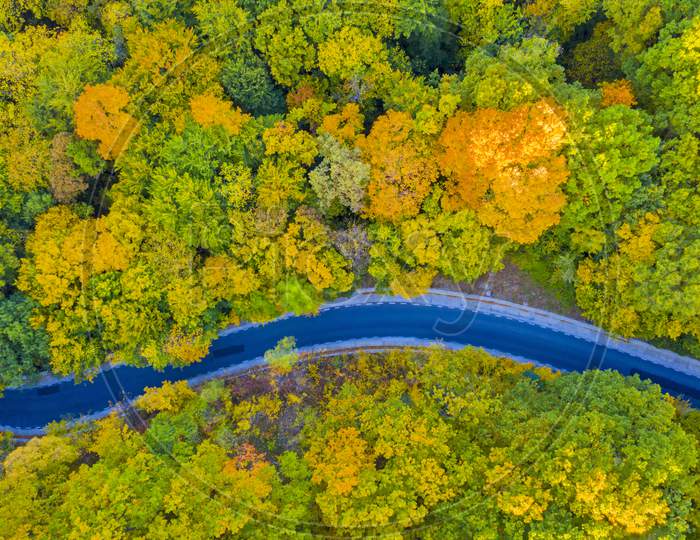 Aerial View Of Road In Autumn Forest