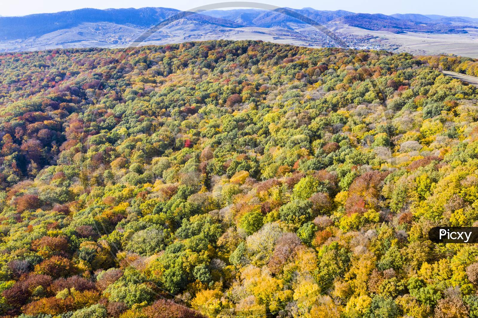 Fall Forest, Aerial View