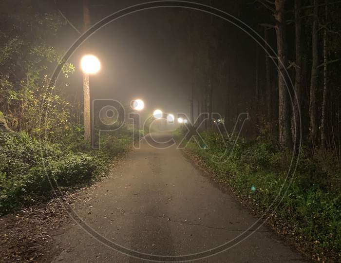 A Misty Road Through Jungle During Night With Street Lights