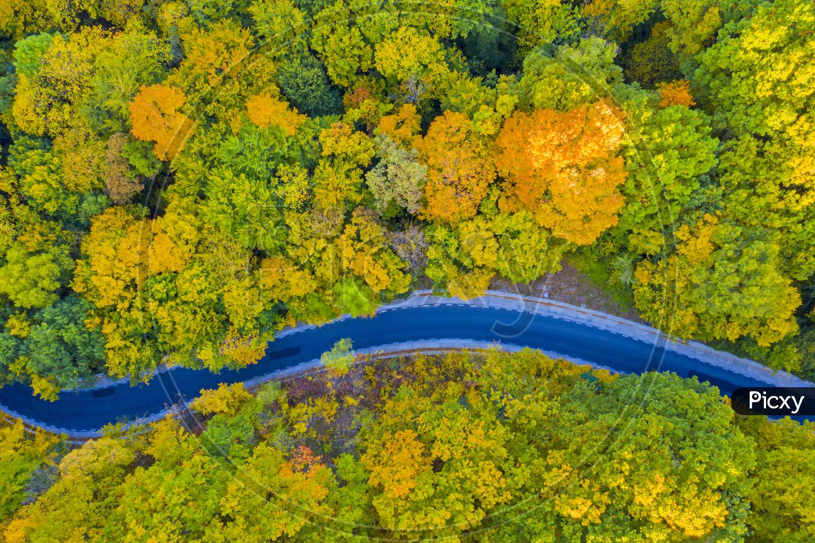 Aerial View Of Road In Autumn Forest