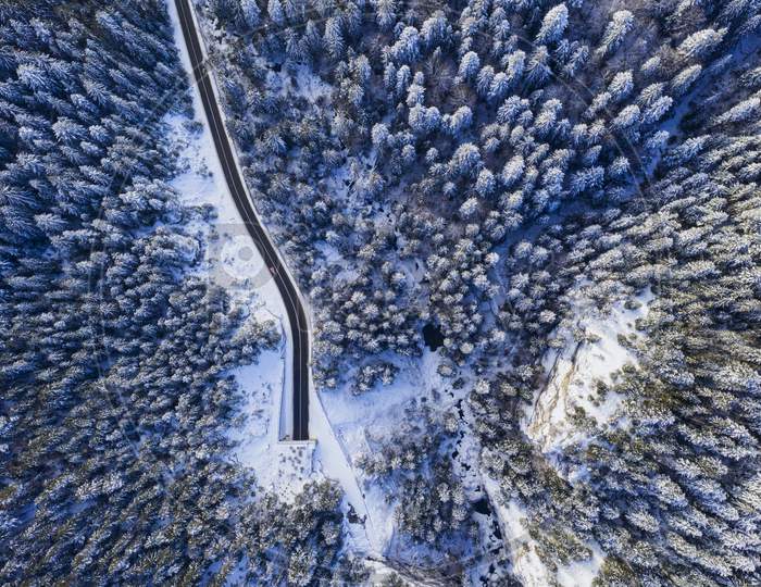 Winter Forest, Tunnel Entrance From Above