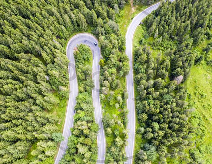Above View Of Forest Winding Road