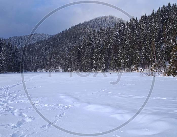Frozen Lake, Snow Covered In The Forest