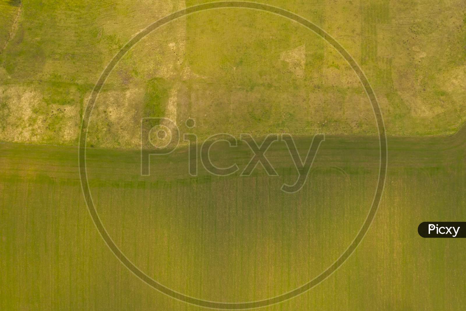 Green Scene From Above