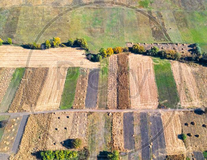 Fields In Autumn, Drone View