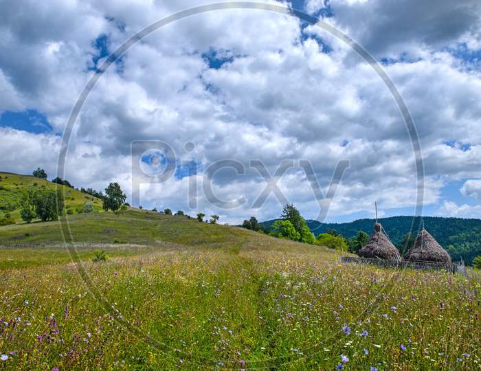 Wildflowers And Hay Stacks On Summer Pasture