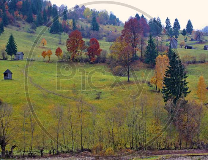 Autumn Pasture On The Hill