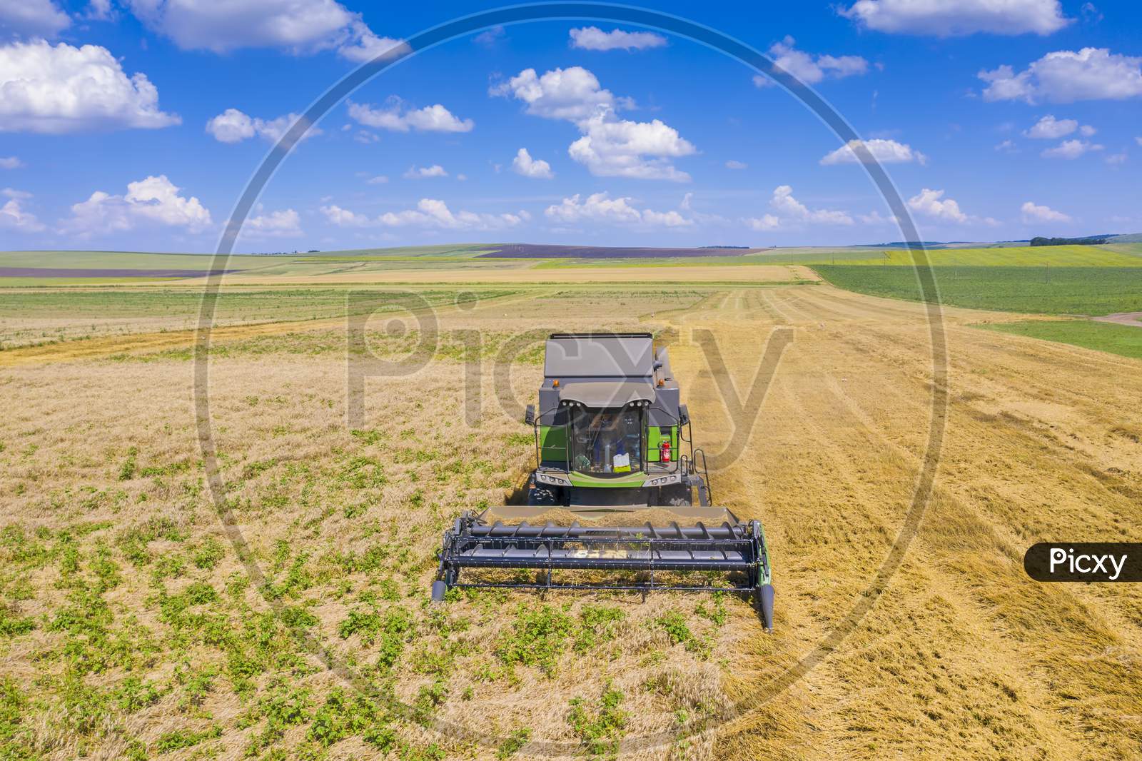 Combine Harvesting Wheat Field