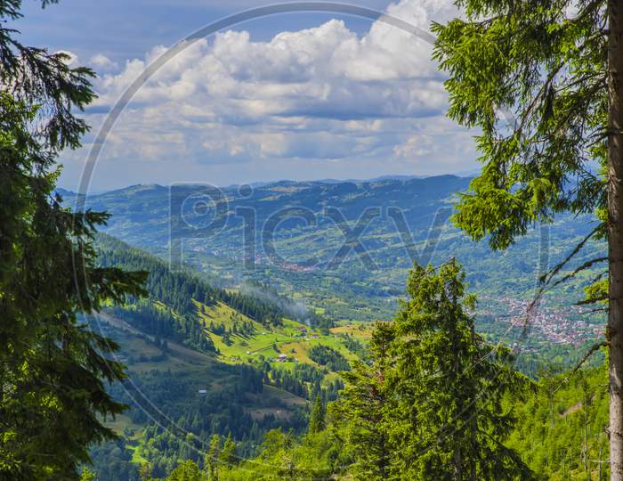 Aerial Summer Landscape With Natural Conifer Border