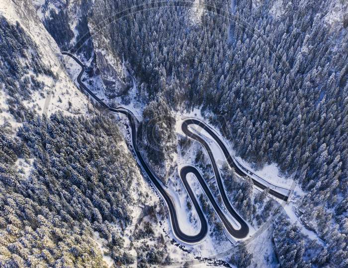 Curvy Road In Winter Forest