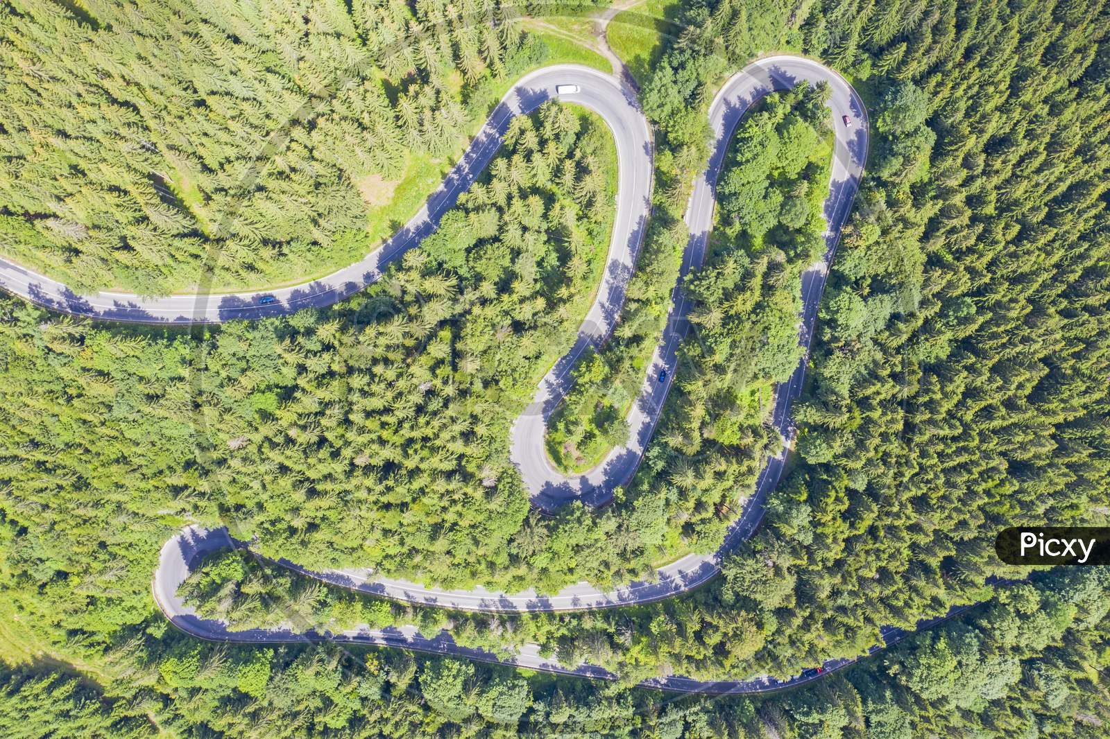 Above View Of Curvy Road In Green Forest