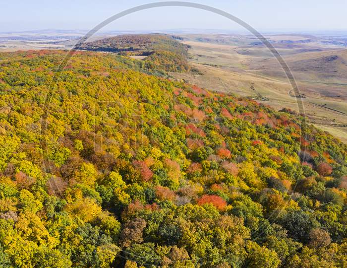 Flying Drone Above Autumn Forest