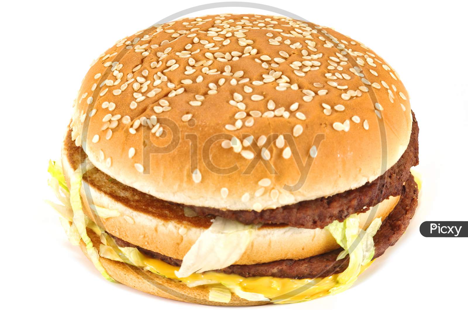 Junk Food Burger Close Image