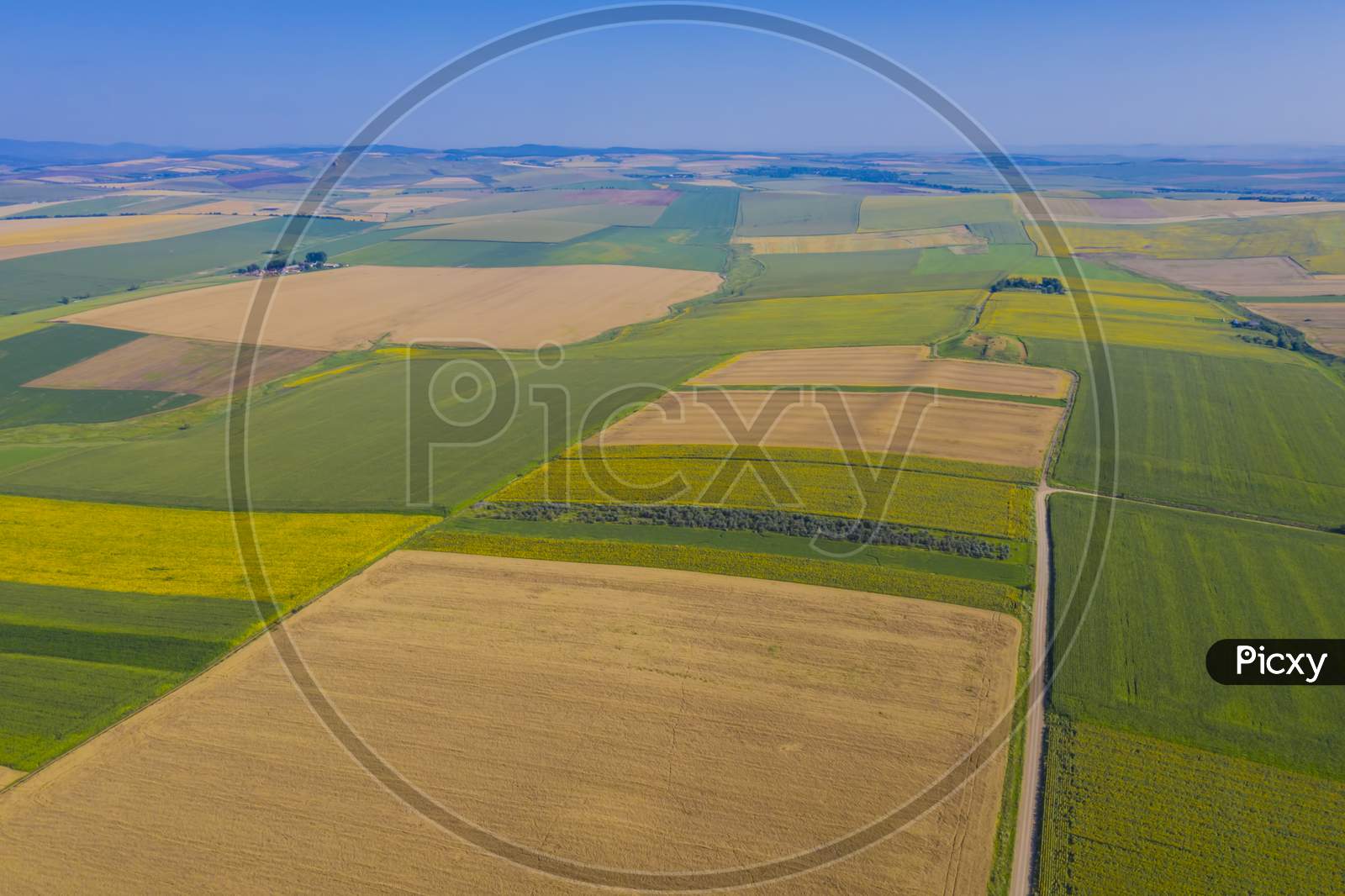 Sunflower And Cereal Fields From Above