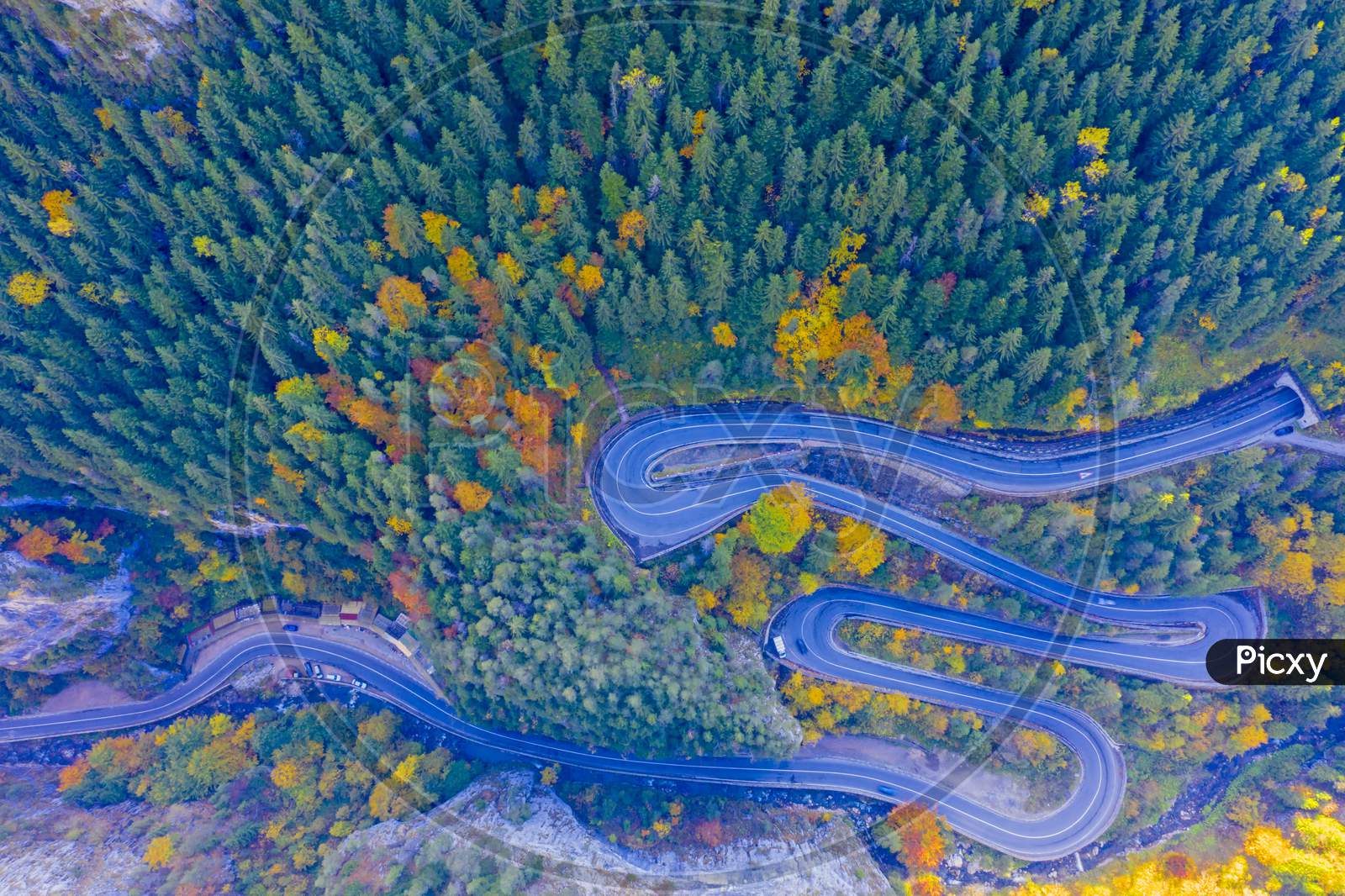 Above View Of Autumn Forest And Road