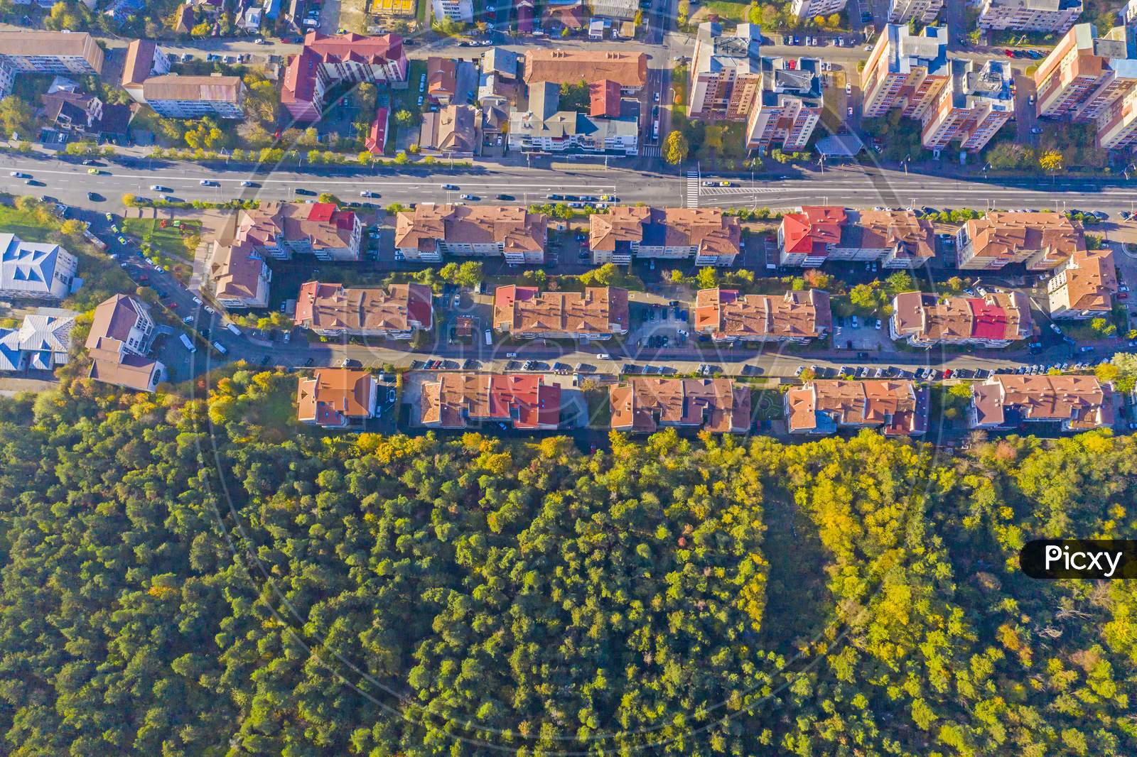 Residential Buildings  Near Forest Viewed From Above