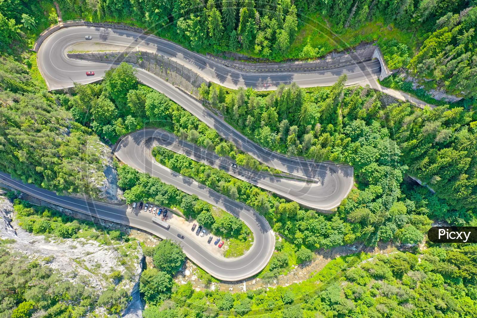 Above View Of Serpentine Forest Road