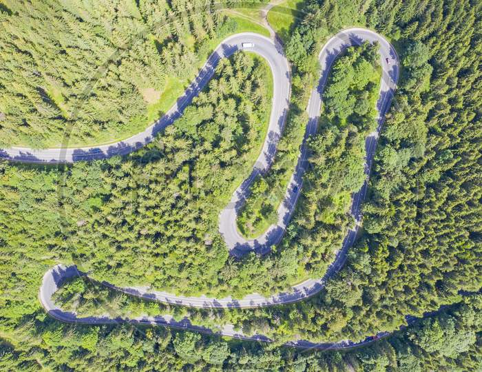 Above View Of Curvy Road In Green Forest