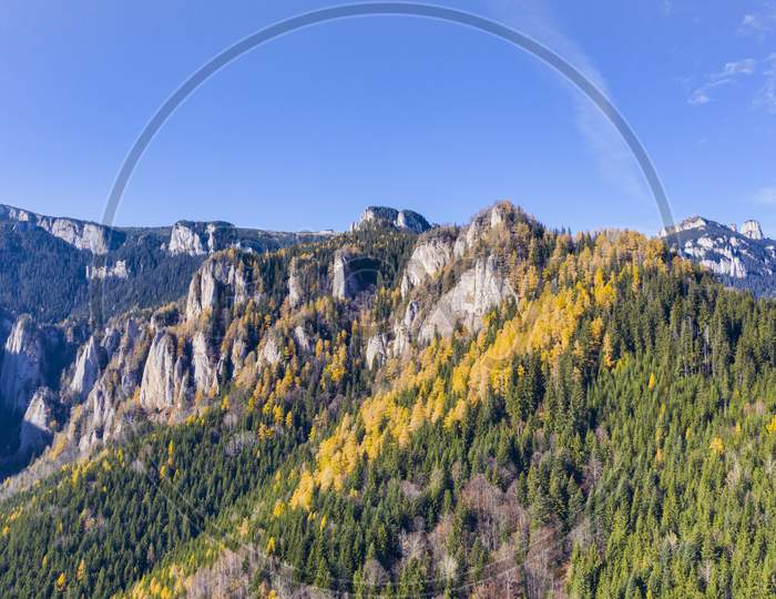 Autumn Mountain Landscape In The Carpathians, Yellow Larch Tree