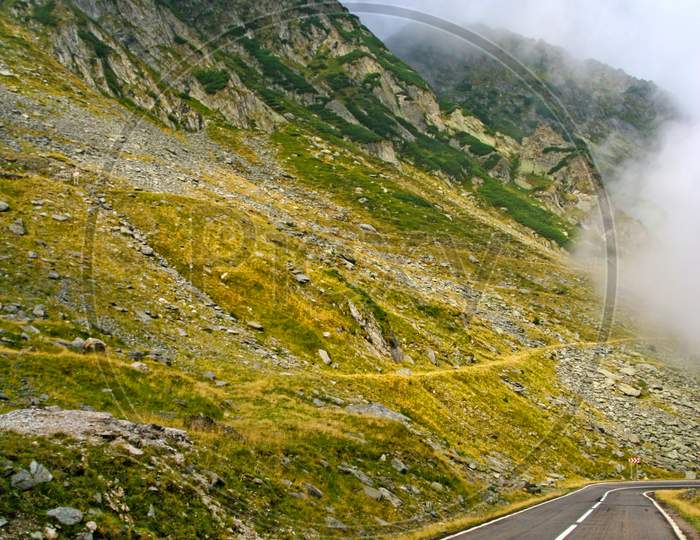 Alpine Road In Summer Mountain