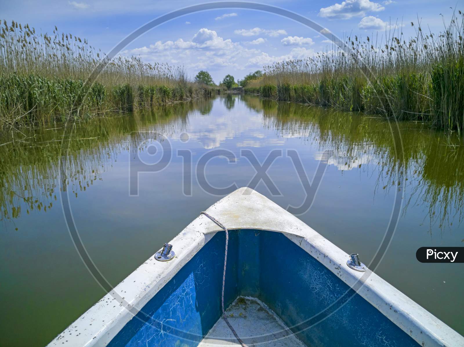Water Canal Between The Reeds