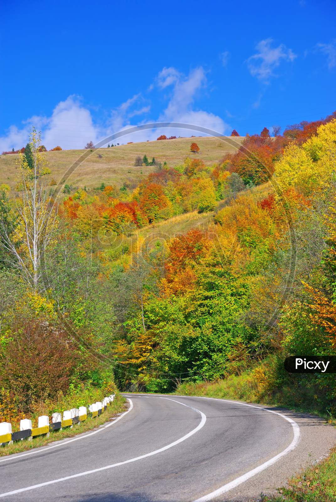Autumn Uphill Road With Colorful Trees