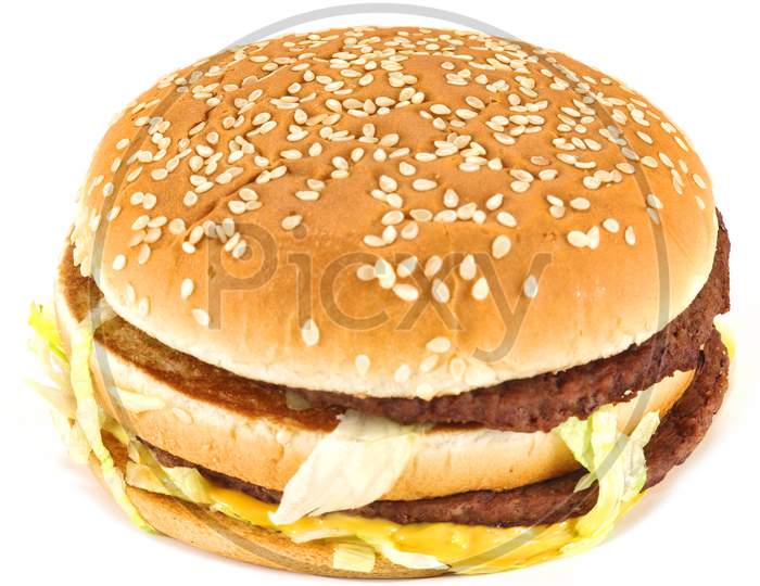 Junk Food Burger Close Image