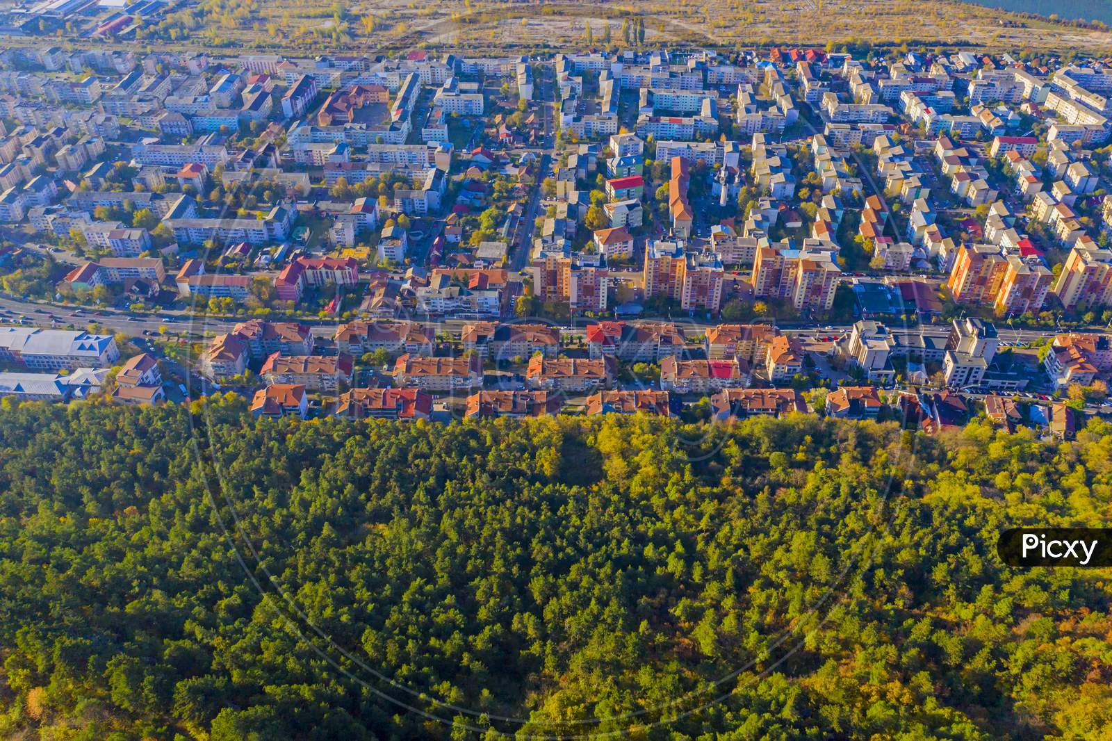Above View Of City Near Forest