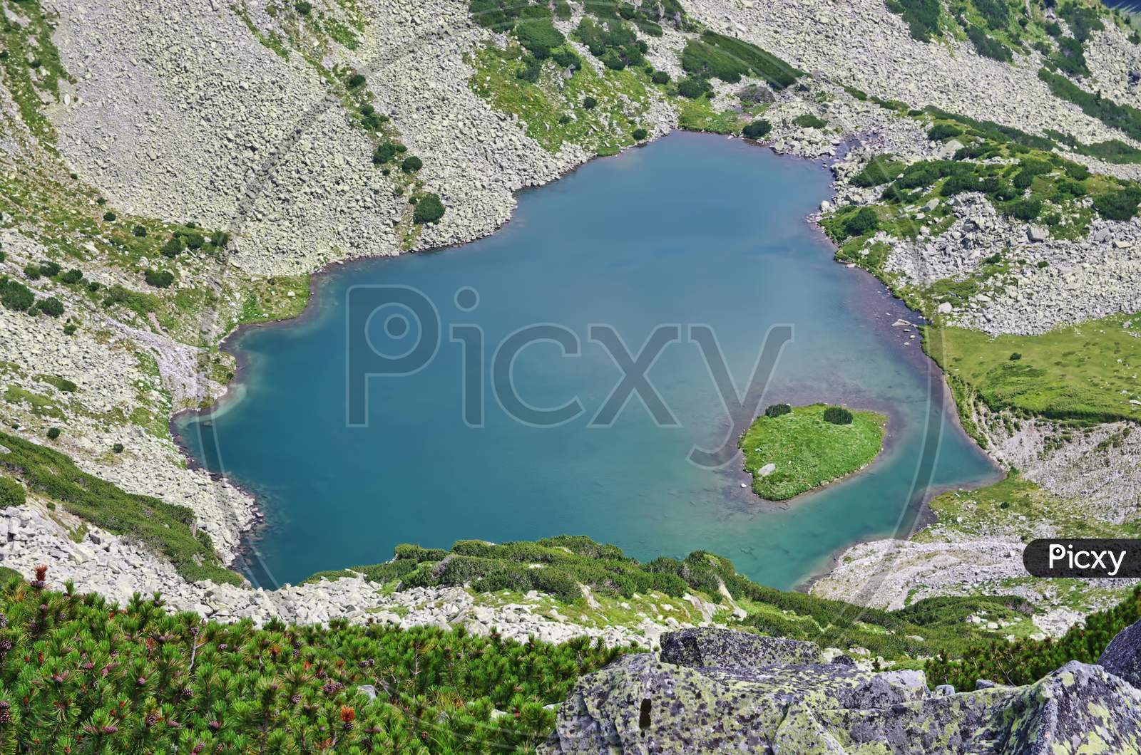 Green Alpine Lake In Summer