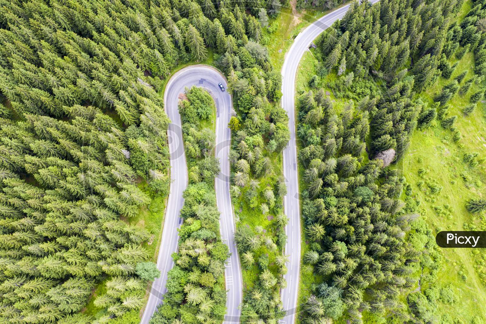Above View Of Forest Winding Road