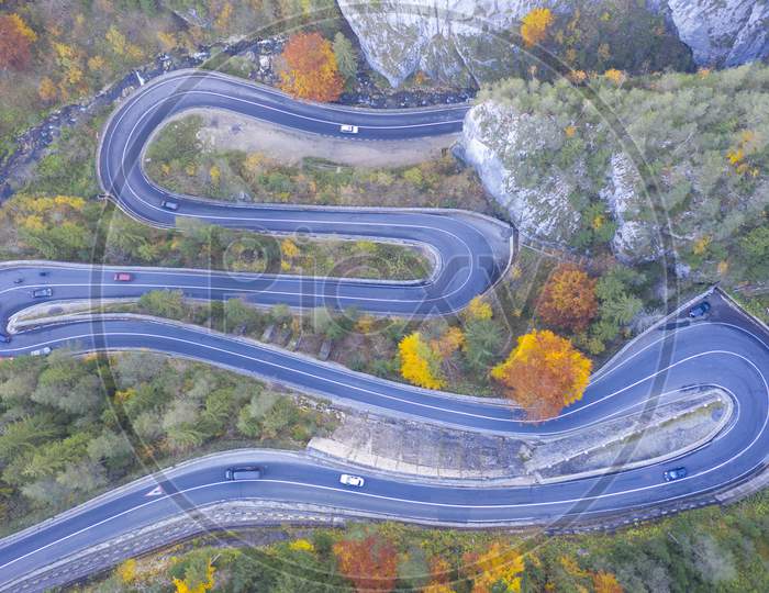 Curvy Road In Autumn Forest
