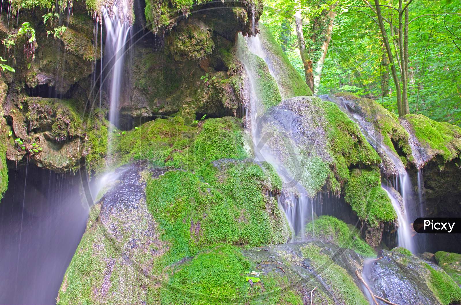 Flowing Water On Rocks And Moss