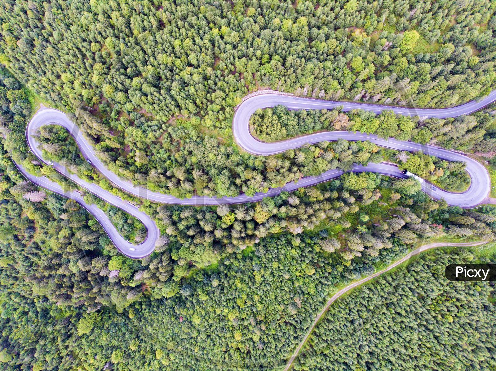 Above View Of Winding Road In The Forest