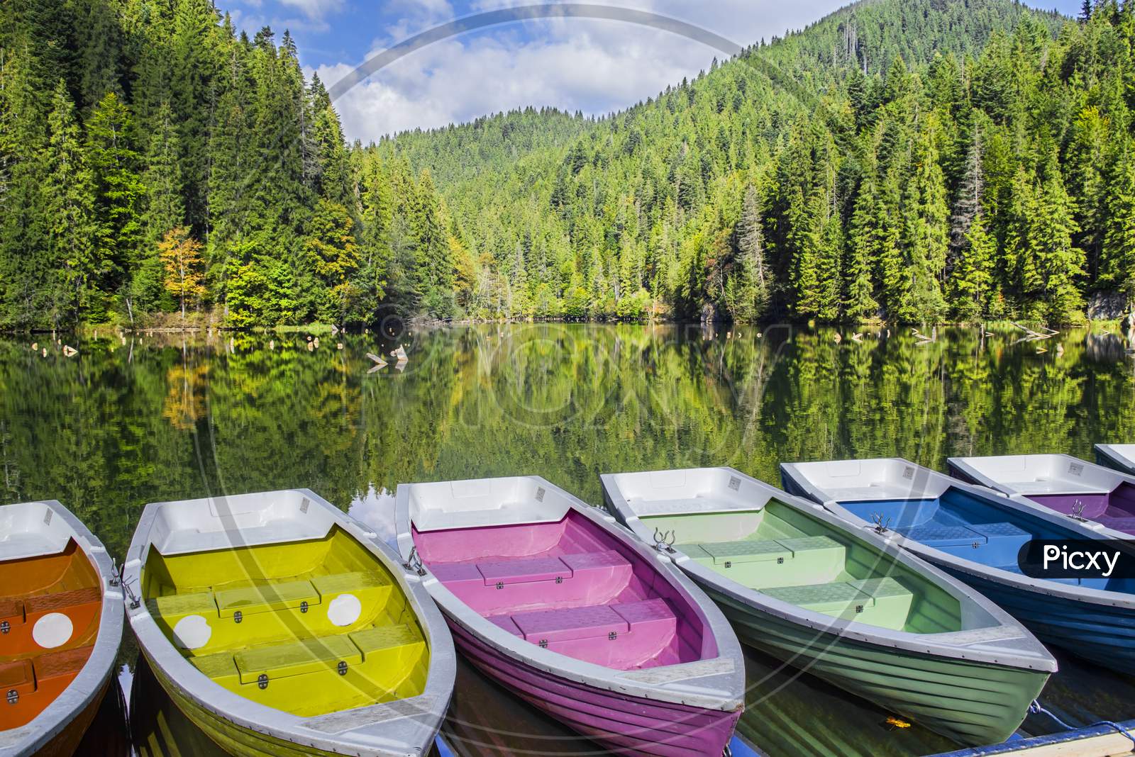 Colorful Boats Docked On A Forest Lake