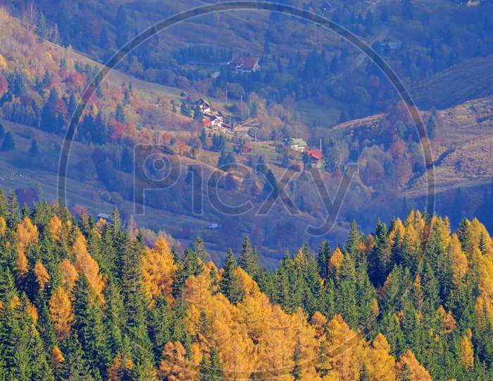 Autumn Trees And Village Behind